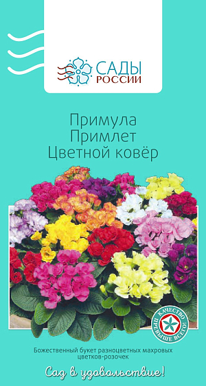 Примула Примлет Цветной ковер

Растения небольшие, компактные. Каждый цветок диаметром до 4 см на отдельном крепком стебле. Рекомендуем выбирать участок с рыхлым и питательным грунтом, который хорошо сохраняет влагу, а также вносить органические удобрения. За сезон на участке с примулой необходимо как минимум трижды провести подкормку фосфорно-калийными удобрениями: первый раз ранней весной, второй – спустя две-три недели и третий в августе.