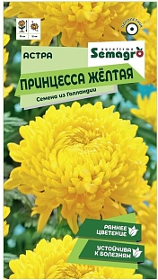 Астра Принцесса жёлтая