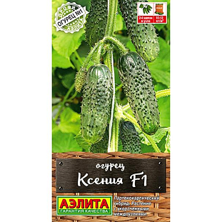 Семена Огурец Ксения F1