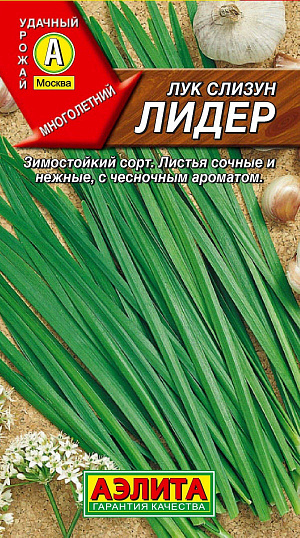 Семена Лук слизун Лидер
