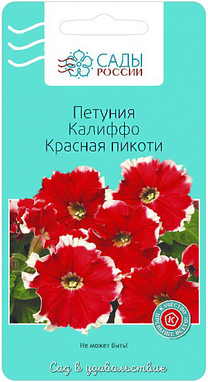 Семена Петуния Калиффо Красная пикоти.
Великолепные яркие, притягивающие взгляд красные цветы со слегка гофрированными белыми краями лепестков. Сорт имеет массу достоинств: крупные цветы 8-9 см, обильное и очень продолжительное цветение, хорошее ветвление.