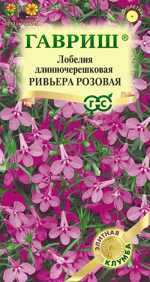 Южное многолетнее растение, отлично растет и обильно цветет в нашей зоне как однолетнее. Ультраранняя серия лобелий Ривьера, зацветает в среднем на 2 недели раньше, чем аналогичные сорта, отличается чистыми яркими оттенками, компактным ростом и продолжительным периодом декоративности. Шарообразные кусты высотой 10-13 см, усыпанные мелкими белоснежными цветами, изумительно смотрятся на газоне в виде объемных цветочных островков. В сочетании с сортами Ривьера синяя и Ривьера розовая растения высаживают в виде пышного разноцветного бордюра, украшают края цветников и контейнеров. Продолжительность и обильность цветения увеличиваются при своевременном удалении отцветших стеблей. Размножают семенами, посев которых производят в феврале - апреле. Для равномерности посевов семена смешивают с сухим песком в соотношении 1:50 и не заделывают.