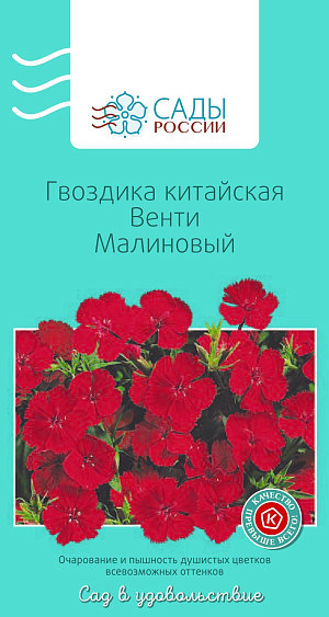 Гвоздика китайская Венти Малиновый

Суперкрупные цветки, достигающие 5 см в диаметре, выглядят неотразимо. Лепестки очень темного бархатного малинового цвета. Цветение обильное и продолжительное. Годится для плотной посадки в цветники или в контейнеры. Не переносит кислый грунт и застоя воды. Перед посадкой клумбу лучше произвестковать.