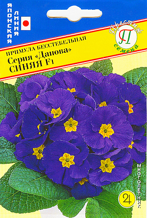<h1></h1>
<div>
 Семена Примула Данова синяя бесстебельная F1.<br>
 Это лидирующий сорт, дающий самый высокий процент товарных растений. Выровненный габитус растения. Очень высокая всхожесть. Многолетнее невысокое растение (10-14 см). Низкие одиночные цветоносы чуть возвышаются над розеткой листьев, создавая шапочку из цветов. Цветки большие, распускаются ранней весной. Примулы серии «Данова» имеет наибольший ассортимент чистых, четких колеров, позволяющих составлять самые разные смеси. Красочное растение для садов и двориков, контейнеров и вазонов. Примулы теневыносливы, влаголюбивы и морозоустойчивы. Почвы для примул нужны рыхлые, хорошо дренированные, умеренно влажные. Каждый год под кусты подсыпают рыхлой земли. В сухую, жаркую погоду растения поливают. Подкармливают весной полным минеральным удобрением 2-3 раза, после отцветания - азотным или органическим удобрением.
</div>
<h1></h1>