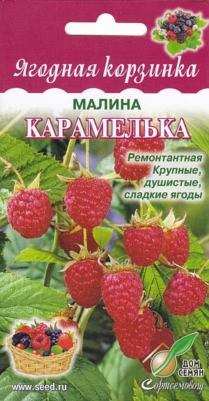 Малина Карамелька