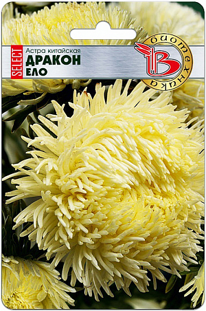 <div>
 Семена Астра китайская Дракон Ело.
</div>
<p>
 Эта серия с более стабильными свойствами, чем предыдущее поколение. Удалось улучшить выравненность цветков и повысить декоративность растений.
</p>
<p>
 Основное назначение группы - срезка, но они хороши, также в групповых посадках.
</p>
<p>
 Высадка: март-апрель для цветения в августе-сентябре. Семена равномерно распределяют по поверхности подготовленного стерильного (для избежания поражения сеянцев черной ножкой) субстрата, слегка присыпают, проводят полив теплой водой. Субстрат должен быть легким и мелкодисперсным.
</p>
<p>
 Прорастание: 7-14 дней при температуре 15-21 °С.
</p>
<p>
 Пикировка: в фазе 2-3 настоящих листьев растения пикируют в горшки диаметром 6 см. Оптимальная температура при выращивании 15-16°С.
</p>
<p>
 Высадка в грунт: рассаду высаживают в грунт в возрасте 40-50 дней. При высадке рекомендуется схема 15x20 см, 32 растения на кв.м. Температура16-18°С.
</p>
<p>
 Грунт: богатые гумусом легко суглинистые почвы, pH 5,5-6,5.
</p>
<p>
 Удобрение: комплексное минеральное, с преобладающим содержанием азота.
</p>
<p>
 Особенности: не рекомендуется выращивать астры на одном месте более одного года. Растения склонны к поражению фузариозом (необходимо заранее проводить соответствующие обработки). Предпочитают хорошо освещенные участки.
</p>