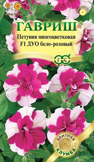 Семена Петуния ДУО Бело-розовый многоцветковая F1.<br>
Многоцветковая махровая серия, очень рано вступает в цветение. Роскошное однолетнее растение с высокой устойчивостью к неблагоприятным погодным условиям. Эта гибридная форма петунии имеет объемный компактный и ветвистый кустик высотой 25-35 см и диаметром 25-30 см. Цветки розовые с белым, многочисленные, до 10-13 см в диаметре, похожи на цветки гвоздики, с прочной фактурой, не страдают во время дождей. Посев проводят с февраля по март. При зимнем посеве всходам необходима подсветка. Всходы появляются через 7-12 дней. На постоянное место высаживают, когда минует опасность заморозков. Цветет с конца мая весь сезон. Светолюбива и достаточно засухоустойчива. Предпочитает легкие, плодородные, хорошо дренированные почвы. Украсит контейнеры, вазоны, балконы, подоконники, рабатки, бордюры.   