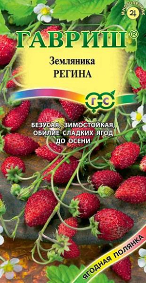 Семена Земляника (клубника) Регина