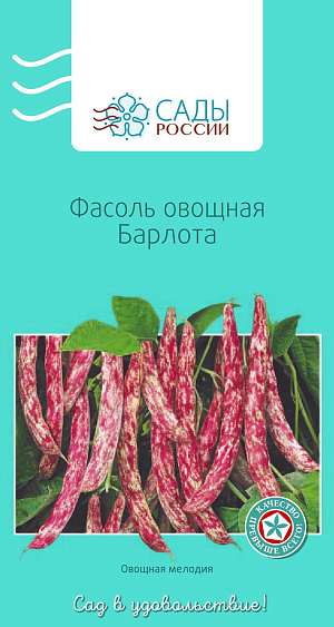 Фасоль Барлотта 