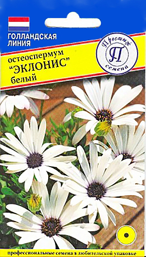 Семена Остеоспермум Эклонис белый.
Остеоспермум Эклонис белый – однолетнее растение высотой 30 см. Очаровательные с гармоничным сочетанием белых лепестков и синей серединки цветы, прекрасно вписываются в любую композицию. Клумба с этим растением будет напоминать ромашковое поле. Небольшие соцветия (4-5 см) украшают участок с июня по октябрь. Устойчивы к капризам погоды.