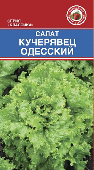 Семена Салат Кучерявец Одесский