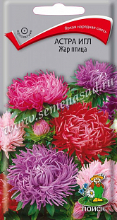 Семена Астра игл Жар-птица