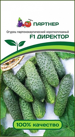 Семена Огурец Директор F1
