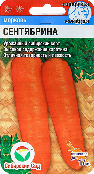 Семена Морковь Сентябрина 
