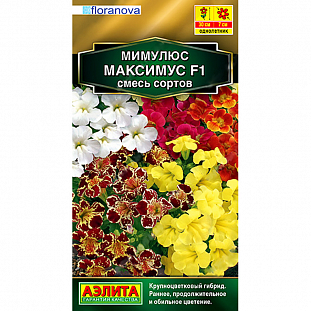 Семена Мимулюс гибридный Максимус F1, смесь окрасок