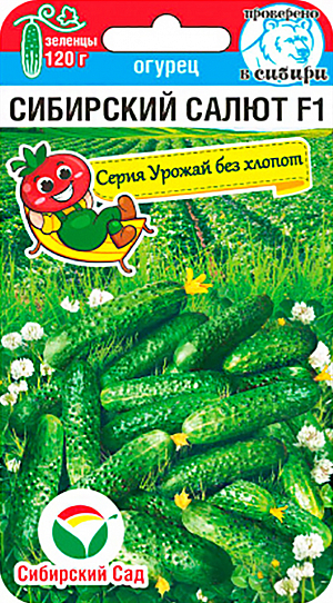 Семена Огурец Сибирский салют 