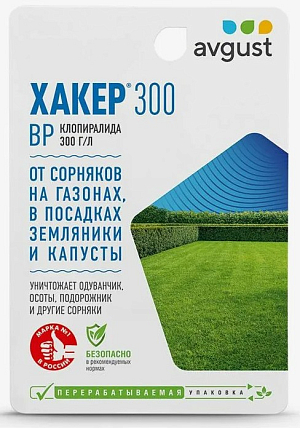 Хакер 300