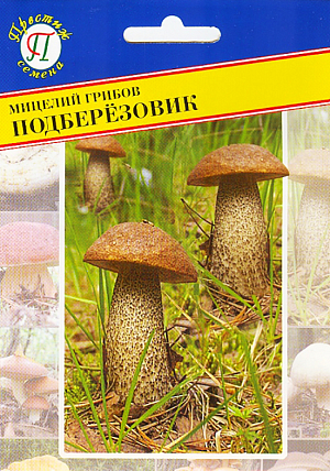 Мицелий грибов Подберёзовик