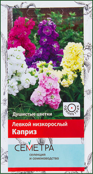 <div>
 Семена Левкой низкорослый Каприз.
</div>
<p>
 Низкорослая смесь с махровыми и полумахровыми соцветиями. Растение высотой 30 см. Крупные цветки собраны в компактные колосовидные соцветия. Листья ланцетные, серовато-зелёные. Интересный вариант для контейнерной культуры, а также великолепно выглядит на клумбах и в бордюрах.
</p>
<p>
 Посев на рассаду: март.
</p>
<p>
 Глубина посева: 0,5 см.
</p>
<p>
 Высадка рассады: 25 мая-5 июня.
</p>
<p>
 Время цветения: июнь-август.
</p>
<p>
 Схема посадки:15х20 см.
</p>