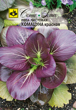 Семена Репа Комацуна красная листовая