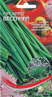 Лук шнитт Весенний