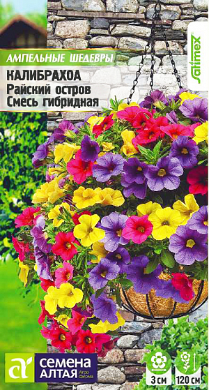 <div>
 Семена Калиброхоа ампельная Райский остров смесь.
</div>
 Прекрасное однолетнее ампельное растение. <b>Близкая родственница петунии, от которой имеет ряд отличий</b>: вся зелень покрыта мелкими волосками, стебли более ветвистые, листочки мельче, а окраска цветков ярче. Можно применять как почвопокровное растение. Длина побегов 50-120 см, в период цветения просто утопает в миниатюрных элегантных цветках-колокольчиках. Используется преимущественно для посадки в подвесные кашпо и вазоны, балконные и оконные ящики, прекрасна на клумбах, в бордюрах и рабатках. Светолюбивое и достаточно засухоустойчивое растение. <br>
 <br>
 Предпочитает легкие плодородные, хорошо дренированные почвы. Посевы на рассаду проводят с середины февраля. Семена равномерно распределяют по поверхности субстрата, не заделывая, а лишь слегка вдавливая в грунт. Для получения наилучшего результата посев рекомендуем проводить в торфяные таблетки (одно драже в таблетку). Посевы увлажняют из распылителя и накрывают стеклом для поддержания постоянной влажности. Емкость помещают в светлое теплое место (+22-24°С). Всходы появляются через 10-15 дней, стекло убирают. Февральским посевам требуется дополнительная подсветка. Пока всходы мелкие, их лучше не поливать, а опрыскивать, избегайте попадания на них прямых солнечных лучей. Пикировку проводят в фазе 1-2-х настоящих листочков в подвесные кашпо Ø25-30 см. В открытый грунт рассаду высаживают в конце мая - начале июня, когда минует угроза возвратных заморозков. Посадочный интервал – 30-40 см. Возможно сохранение растений зимой в освещенном помещении при температуре около +12°С с предварительной обрезкой побегов. <br>
 <br>
 <b>Внимание! Семена дражированные - оболочку драже не разрушать!</b>