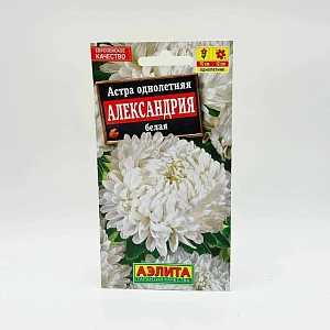 Семена Астра Александрия белая. <br>
 Однолетник<br>
 Высота растения 70 см<br>
 Диаметр соцветия 12 см<br>
 <br>
 Прекрасный сорт универсального назначения. Крупные густомахровые соцветия Ø12 см на супердлинных, мощных стеблях идеальны для срезки. Красивый прочный куст 70 см высотой хорошо вписывается в сборные цветники в качестве растения среднего плана. Сорт отлично сочетается практически со всеми однолетниками позднелетнего и осеннего цветения, подходящими по размеру. Не жалейте цветы, срезайте для букета, это будет стимулировать появление новых.<br>
 <br>
Посев. Выращивают рассадным способом. С развитием первой пары настоящих листочков сеянцы пикируют. На постоянное место рассаду высаживают в возрасте 30-35 дней. Возможен посев семян в открытый грунт весной или под зиму, в конце октября. Растениям необходимы регулярные поливы, прополки, рыхления и подкормки