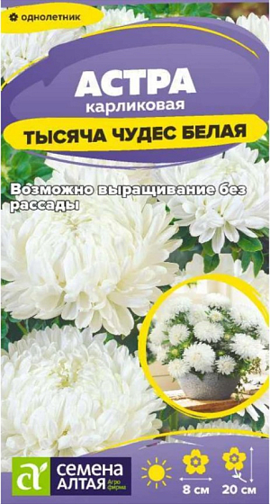 Семена Астра карликовая Тысяча чудес белая

Бордюрная низкорослая астра, одна из самых востребованных. Высота куста – 20 см. На кусте расположено множество больших белых махровых цветков диаметром около 8 см. Цветение продолжается с июля до октября. Предназначена для выращивания в горшках, как бордюрная культура, в смешанных цветниках, партерных клумбах и вазонах. Холодостойкое, светолюбивое растение, выносит полутень. Хорошо растет на обычной садовой почве, но не переносит застоя воды и засухи.

На рассаду высевают в феврале – марте, сеянцы пикируют через 3 недели. В открытый грунт рассаду высаживают в конце мая по схеме 30x40 см, когда минует угроза заморозков. Можно сеять в грунт и под зиму.