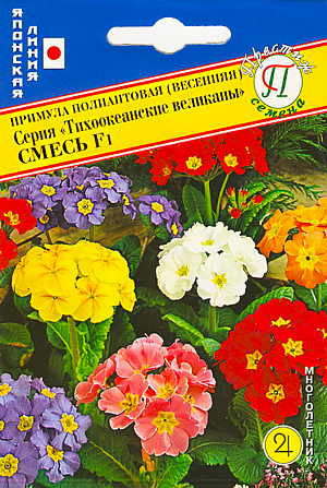<div>
 Семена Примула полиантовая (весенняя) Серия "Тихоокеанские великаны" Смесь F1.
</div>
Морозоустойчивый многолетник. Серия «Тихоокеанские великаны» известна прежде всего своим высоким качеством. Очень большие цветки (до 8 см), собранные в соцветия, держатся на многочисленных сильных стеблях. Цветоносы высотой 25-30 см. Само растение мощное. Серия содержит широкий диапазон ярких цветов и оттенков. Наиболее популярная серия как для клумб в садах и внутренних двориках (патио), так и для контейнеров и вазонов.
Примулы теневыносливы, влаголюбивы и морозоустойчивы. Почвы для примул нужны рыхлые, хорошо дренированные, умеренно влажные. Каждый год под кусты подсыпают рыхлой земли. В сухую, жаркую погоду растения поливают. Подкармливают весной полным минеральным удобрением 2-3 раза, после отцветания - азотным или органическим удобрением.