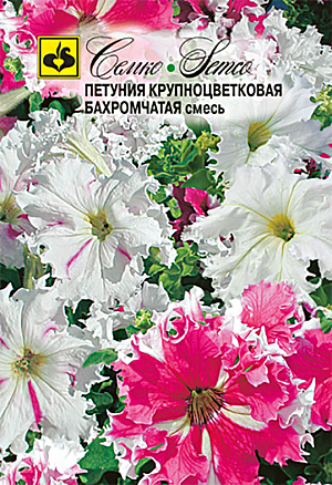 Семена Петуния Бахромчатая крупноцветковая (смесь).
<p style="text-align: justify;">
 Все три сорта этой группы имеют крупные цветки диаметром 6–8 см с волнистыми бахромчатыми краями, чисто белой окраски, с темно-розово-фиолетовыми пятнами и полосами на белом фоне, а также с розовыми и фиолетовыми пятнами на белом фоне. Растения высотой 35–40 см. Цветение наступает через 25–30 дней после высадки рассады, продолжительное до заморозков. Идеально подходит для цветников, рабаток, балконных ящиков, горшков и кашпо.
</p>