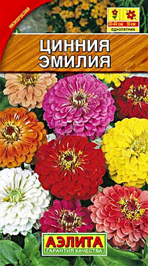 Семена Цинния Эмилия смесь окрасок.
Яркая смесь низкорослых, обильно цветущих цинний. Формирует хорошо разветвленные, аккуратные кусты высотой 30-40 см. Особенность смеси – сочетание компактности растений и крупных махровых соцветий диаметром до 10 см. Окраска соцветий не выгорает на солнце. Растения свето- и теплолюбивые, относительно засухоустойчивые. Используются для оформления клумб, рабаток, бордюров, садовых и балконных контейнеров. Агротехника. Выращивают рассадным способом. С развитием первой пары настоящих листочков сеянцы пикируют. В фазе 5-6 листьев проводят формирующую прищипку. Рассаду высаживают в открытый грунт, когда минует опасность заморозков. Растениям необходимы регулярные поливы, прополки, рыхления и подкормки. Возможен посев семян в открытый грунт на глубину 1 см. 