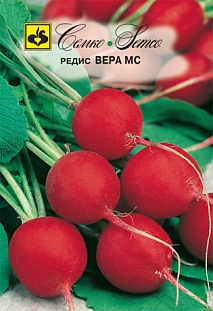 Семена Редис Вера МС