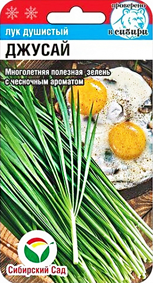 Семена Лук душистый Джусай