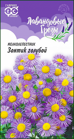 <div>
 Семена Мелколепестник Зонтик голубой.
</div>
 Цветущее травянистое многолетнее растение с коротким корневищем, относится к семейству Астровые. Небольшие кустики, буквально усеянные изящными цветками из мелких пушистых лепестков воздушно-сиреневой окраски с легким оттенком лаванды и ярко-солнечной серединкой. Мелколепестник светолюбив, переносит легкое затенение, морозостоек, предпочитает хорошо дренированные почвы без застоя воды. <br>
 <br>
Размножают семенами, делением куста и зелеными черенками. Для вегетативного размножения используют трех-четырехлетние кусты. Семена высевают в марте-апреле в ящики, или осенью в грунт. При температуре почвы 15оС всходы появляются через 20-30 дней. После пикировки, в июне, высаживают на постоянное место. Растения неприхотливы и очень декоративны. Весной их зеленью можно удачно оттенить первые луковичные растения, а осенью бордюры и рабатки украсит пышное цветение, в то время как природа будет уже готовиться к холодам. Даже зимой эти неунывающие кусты будут проглядывать зеленью из-под снежного покрывала.