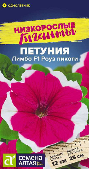Петуния Лимбо Роуз пикоти F1.<br>
 <br>
 Петуния Лимбо – единственная на рынке генетически карликовая серия крупноцветковой петунии. Растение имеет очень хорошее ветвление, не перерастает и не вытягивается в течение всего сезона. Не нуждается в регуляторах роста. Образует компактные кустики, покрытые крупными, до 12 см в диаметре, розовыми цветками с белой серединой. Растение очень быстро восстанавливается после дождя. Цветение наступает раньше, чем у других крупноцветковых петуний. Идеальный материал для декоративного оформления балконов, фасадов зданий, городских и садовых участков.<br>
 <br>
 <br>
   Светолюбивое и достаточно засухоустойчивое растение. Предпочитает легкие плодородные, хорошо дренированные почвы. Посевы на рассаду проводят с середины февраля. Семена равномерно распределяют по поверхности субстрата, не заделывая, а лишь слегка вдавливая в грунт. Для получения наилучшего результата посев рекомендуем проводить в торфяные таблетки (одно драже в таблетку). Посевы увлажняют из распылителя и накрывают стеклом для поддержания постоянной влажности. Емкость помещают в светлое теплое место (+22-24°С). Всходы появляются через 10-15 дней, стекло убирают. Февральским посевам требуется дополнительная подсветка. Пока всходы мелкие, их лучше не поливать, а опрыскивать, избегайте попадания на них прямых солнечных лучей. Пикировку проводят в фазе 1-2-х настоящих листочков. В открытый грунт рассаду высаживают в конце мая - начале июня, когда минует угроза возвратных заморозков. Посадочный интервал – 30-40 см. Обильное и продолжительное цветение с июня до осенних заморозков. Возможно сохранение растений зимой в освещенном помещении при температуре около +12°С с предварительной обрезкой побегов.<br>
 <br>
 <br>
  <b>Внимание!</b> Семена дражированные - оболочку драже не разрушать!