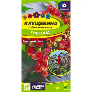 Семена Клещевина Гибсона