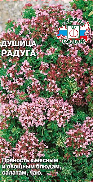 Душица Радуга
