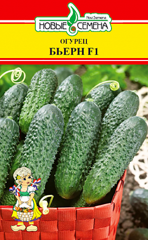 Семена Огурец Бьерн F1