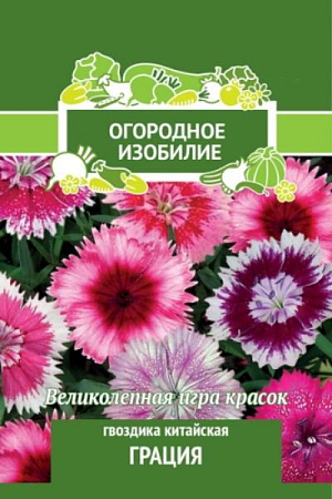 Великолепная игра красок. Растение с тонкими, узловатыми стеблями, высотой 30 см. Цветки собраны в небольшие соцветия-щитки. Окраска разнообразная, одно- и двухцветная. Используют для оформления цветников, бордюров.

Посев на рассаду: 20 марта-10 апреля

Глубина посева: 0.5 см

Высадка рассады: 25 мая – 5 июня

Время цветения: июнь-август

Схема посадки:15х15 см