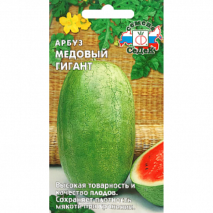 Арбуз Медовый гигант