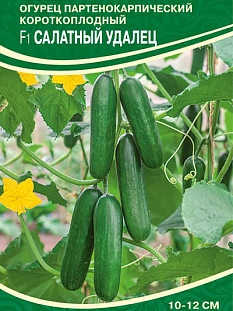 Семена Огурец Удалец F1 (салатный)
