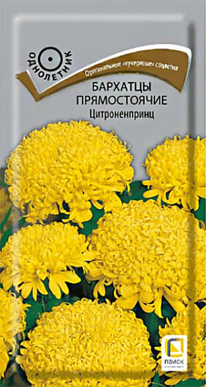 Семена Бархатцы прямостоячие Цитроненпринц. Оригинальные «кучерявые» хризантемовидные соцветия. Растение высотой около 70 см. Цветение обильное продолжительное - с июля до заморозков. Чтобы продлить цветение, необходимо удалять увядшие цветки. Используют для клумб, рабаток.<br>
 <br>
 Агротехника. Растение теплолюбивое, засухоустойчивое. Предпочитает солнечное место, почва любая, дренированная. Семена высевают в апреле-мае в рассадные ящики. Глубина заделки семян 0,5-1 см. При температуре почвы +18°С всходы появляются на 7-15 день. Через 2 недели сеянцы пикируют. В грунт рассаду высаживают после окончания весенних заморозков, выдерживая расстояние между растениями 30-40 см