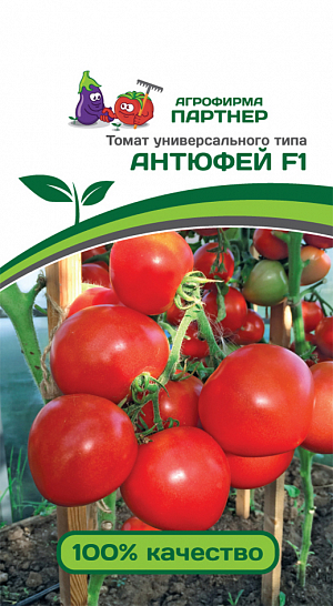 Семена Томат Антюфей F1