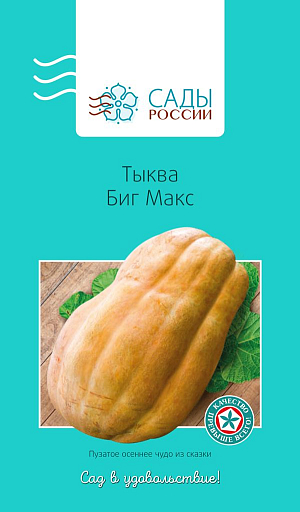 Тыква Биг Макс 3шт