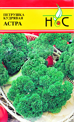 Семена Петрушка кудрявая Астра