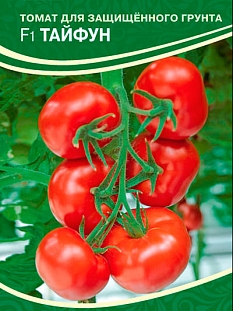 Томат Тайфун F1