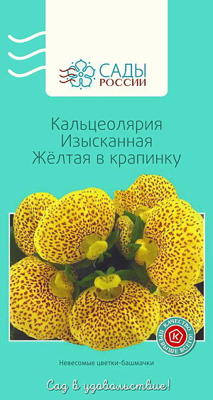 Кальцеолярия Изысканная жёлтая в крапинку

Удивительно воздушные и невесомые цветки-башмачки с необычным тигриным окрасом. Соцветия крупные, размером 7–8 см, расположены близко друг к другу, образуют единое целое. Не допускайте пересушки земли. Полив должен быть обильным. Растение любит прохладу.