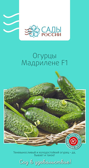 Семена Огурец Мадрилене F1