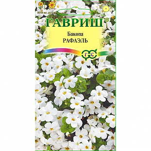 Семена Бакопа Рафаэль
