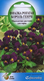Фиалка Король Генри